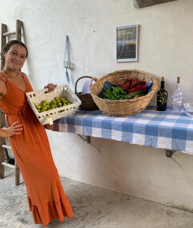 La Corte Di Montagna San Mango 외부 사진
